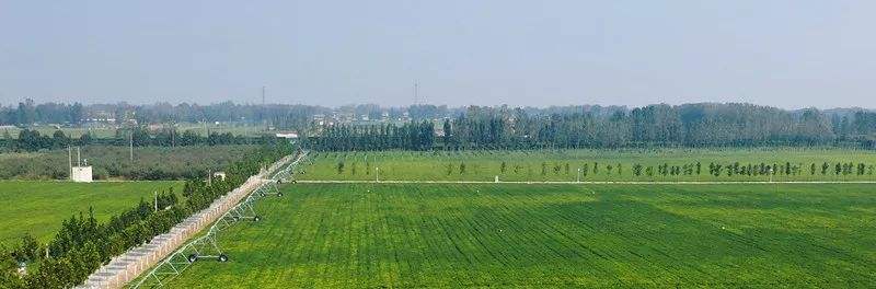 梅州市绿粮农业科技发展有限公司